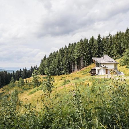 Willa Forsthaus Gray 4 St. Veit an der Glan Zewnętrze zdjęcie